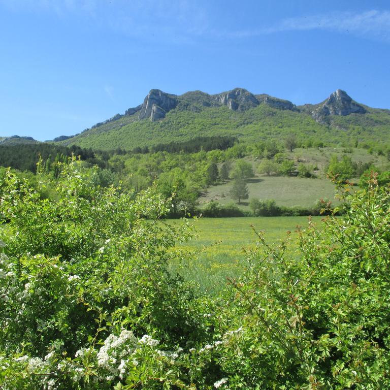 Entre Sisteron Et Gorges De La Meouge 