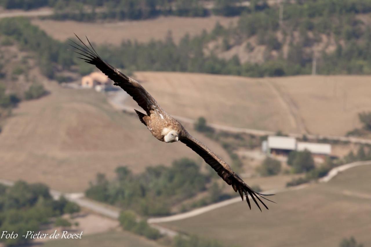 Entre Sisteron Et Gorges De La Meouge 